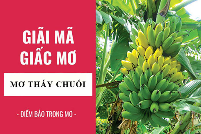 Mơ thấy chuối là điềm báo gì